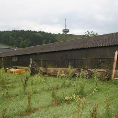 Dach1